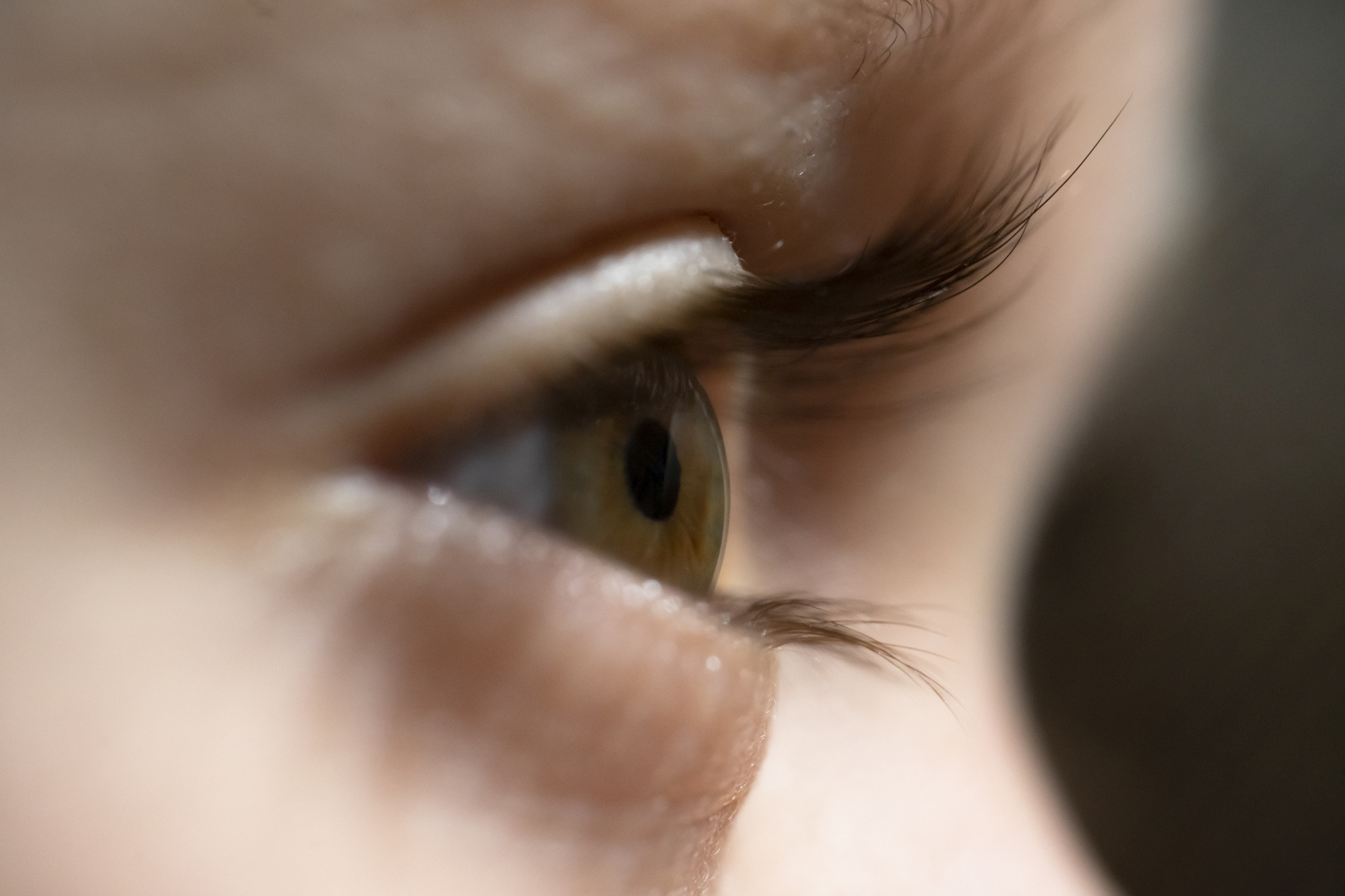 Toddler Boy eyes closeup, macro studio shot