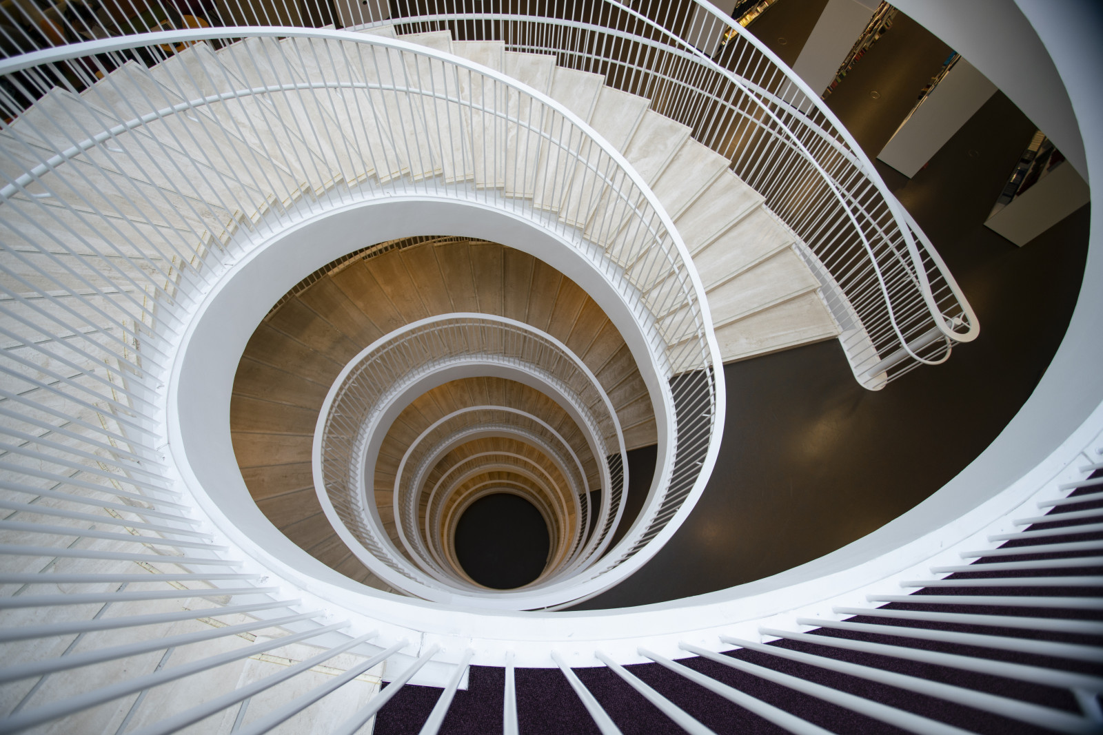 spiral-staircase-with-white-balustrades-descending-2025-04-03-21-18-42-utc